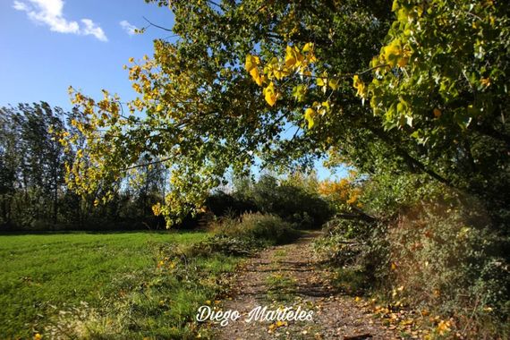 Diego en Hamelin: Paisaje, #otoño #canon #zaragoza 