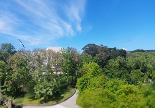 Mpinfante en Hamelin: Paisaje, #la gaviota marchó de vacaciones con el día nublado, y regresó con cielo azul y el canto de los mirlos. 