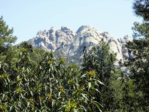 Creandoaficiones en Hamelin: Paisaje, La Pedriza 