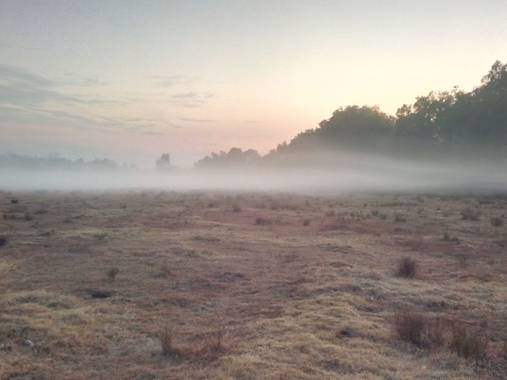 Aguilardamian875 en Hamelin: Paisaje  (Tepotzotlán), #caminoacasa