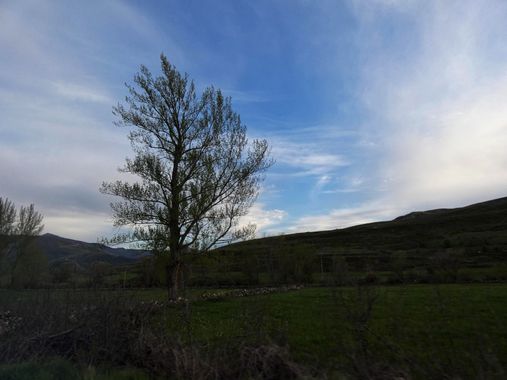 mariale en Hamelin: Paisaje  (Cabrillanes), 📸 #marialemdza #CumpleHamelin 
#primavera2022 #spring2022 #LagoDeBabia #Cabrillanes #ProvinciaDeLeón #Babia  #...