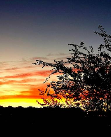 Rosa del Desierto en Hamelin: Paisaje  (Barcelona), Atardecer en la ciudad#paisajes