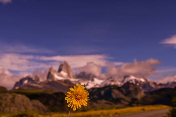 poncelucia61 en Hamelin: Paisaje, Tomada en Chaltén 📌