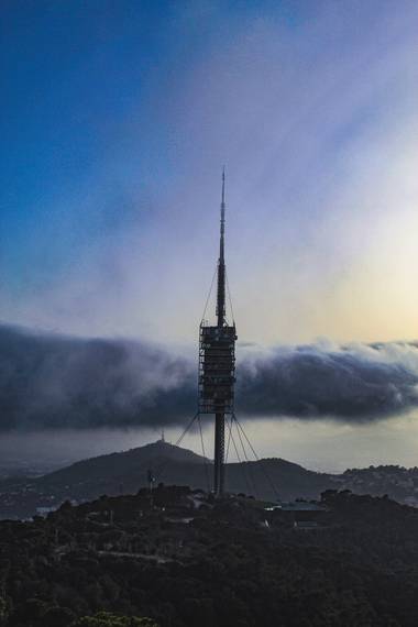 ARTURO  en Hamelin: Paisaje, Collserola