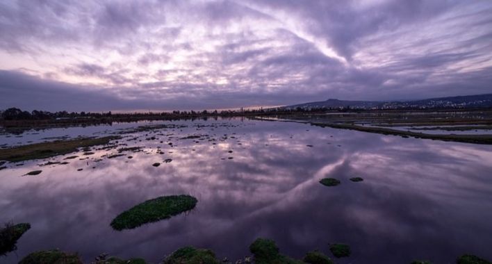 halegre24 en Hamelin: Paisaje  (Xochimilco), #agua #landscape#amanecer