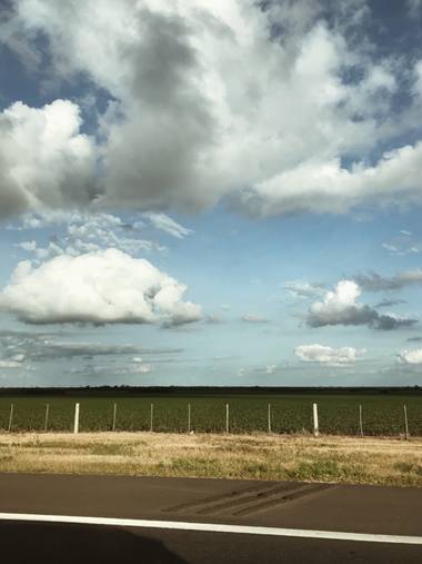 Gabriela Molina Duret en Hamelin: Paisaje, #cloudysky #roadtrip #field 