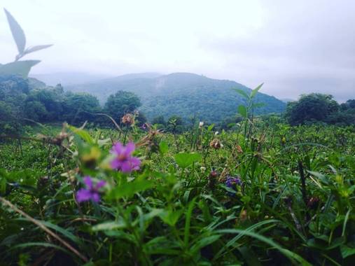 luckytulian en Hamelin: Paisaje 