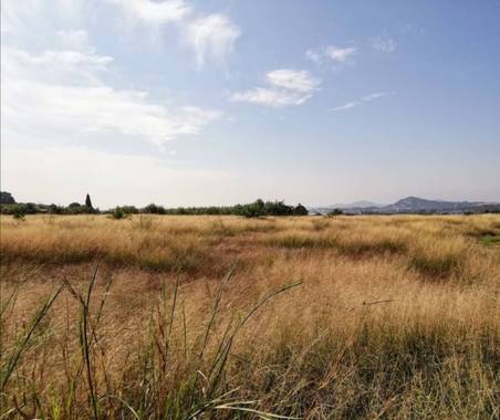 VickyOnTheRocks en Hamelin: Paisaje  (Liria), #campos #fields #miscaminatas #miscaminos #senderos #belleza #caminaydisfruta #otoño