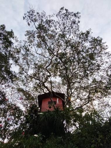 Zaynab en Hamelin: Paisaje, Casa en el árbol