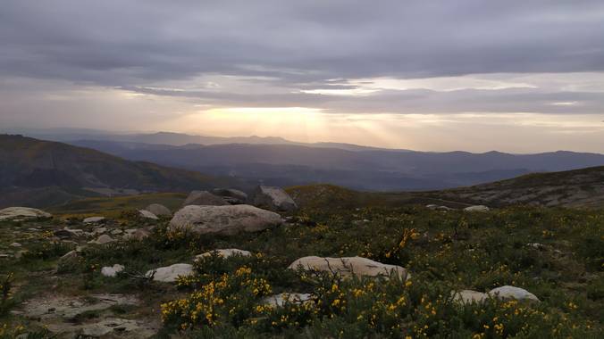 David en Hamelin: Paisaje  (A Cañiza), #paisajes