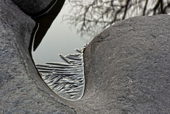 Ignicapillus en Hamelin: Paisaje  (Montesquiu), Rincón del hielo

No será la última vez que suba fotos de hielo tomadas en invierno. En este caso, el hielo...