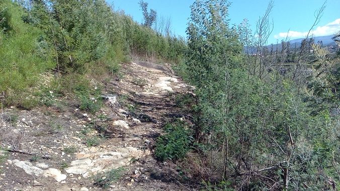 David en Hamelin: Paisaje  (As Neves), #paisajes