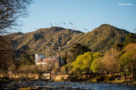 Greta franco beguan en Hamelin: Fauna  (Calamuchita), Nikon #Aves
#Landscape #Paisajes 
#Sky #Cielo #Visual 
#VisualArt #Arte #Art 
#View #Fineart #Fotos 
...
