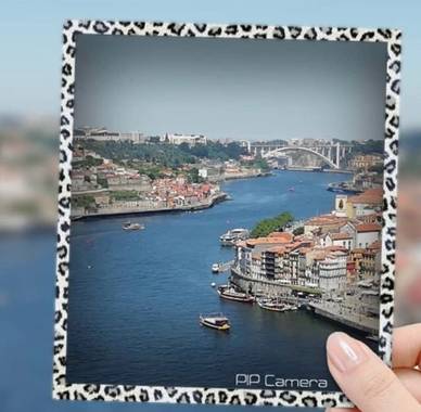 Sayurigion en Hamelin: Paisaje  (Porto), #macrofoto20 oporto 