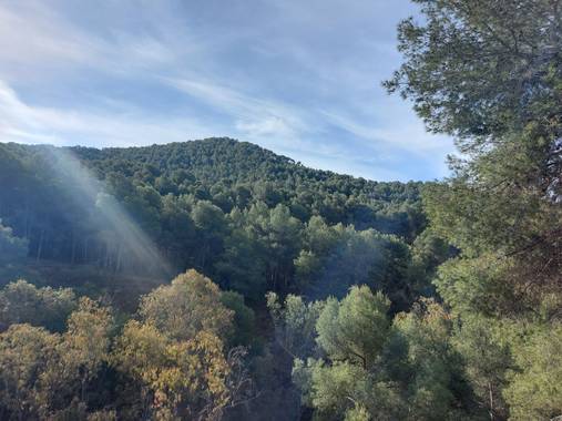 Apasnau75 en Hamelin: Paisaje  (Málaga), Montes de Málaga 