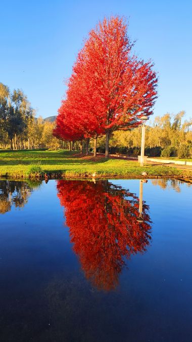 Georginaag en Hamelin: Paisaje  (Banyoles), #paisajesnaturales 