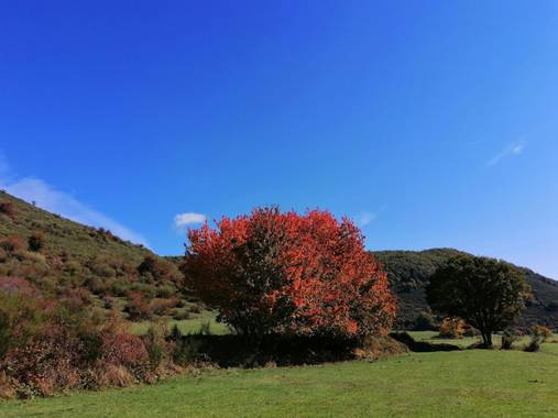 mariale en Hamelin: Paisaje, 📸 @marialemdza
#otoño20 #paisajes
Ruta del viernes, 09/10/2020
¡Buen domingo a todos! 🍁🍁🍁
.
#Naturaleza #Montaña #Belleza...