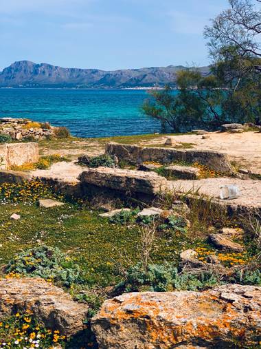Clari Montal en Hamelin: Paisaje  (Santa Margalida), #primavera en #Mallorca 