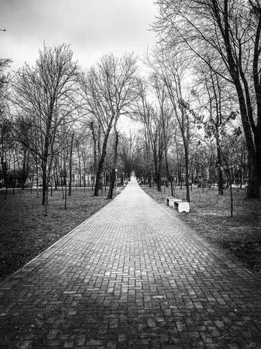 Conbyconv en Hamelin: Paisaje  (Lieninski rajon), #parquesyjardines 