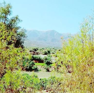 RAISUKI en Hamelin: Paisaje, En medio de un DESCANSO, carretera Santa Cruz - Tarija - BOLIVIA
