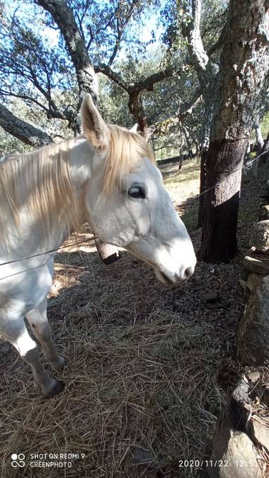 GreenPhoto en Hamelin: Fauna 