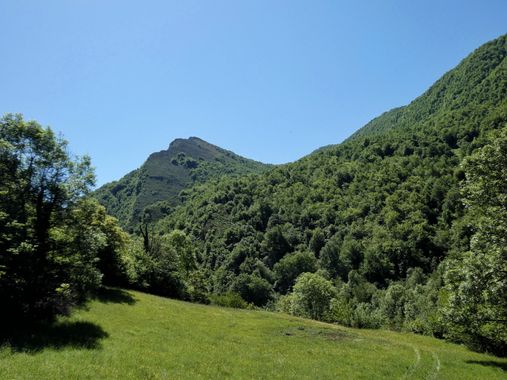 mariale en Hamelin: Paisaje  (Caso), 📸 #marialemdza
💚 🌿🌳🌿💚
#CumpleHamelin
#Naturaleza #BellezaNatural #Asturias  #Montaña #trees #árboles #forest #bo...