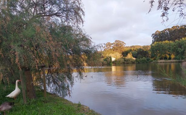 Mpinfante en Hamelin: Paisaje, Bonita  laguna y los reflejos al atardecer ✨️🗺