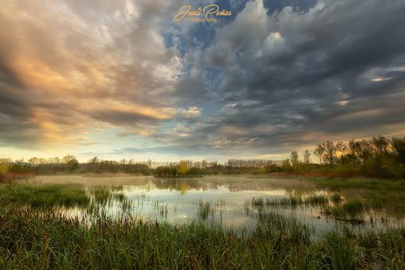 Justi en Hamelin: Paisaje  (Sils), Amanece en el Edén. 
Es una zona húmeda que corresponde al último vestigio de lo que era un antiguo lago natural situado...
