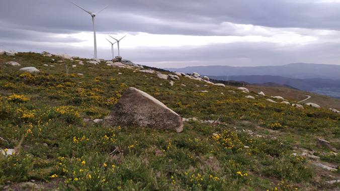 David en Hamelin: Paisaje  (A Cañiza), #España