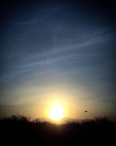 Navarroarevalomariateresa en Hamelin: Paisaje  (Viesca), Un ave despidiendo al día! Hermoso atardecer esta tarde!!#Invierno20