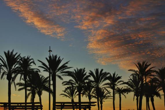 Sandranieto85 en Hamelin: Paisaje  (Huelva), Atardecer en Huelva, Punta del Sebo

#invierno20 #sunset #atardecer #huelva #paisaje #landscape