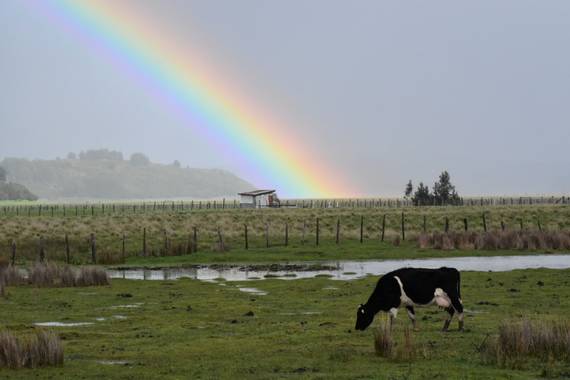 photographsolivia.gazale en Hamelin: Paisaje  (Arauco), #hamelin 