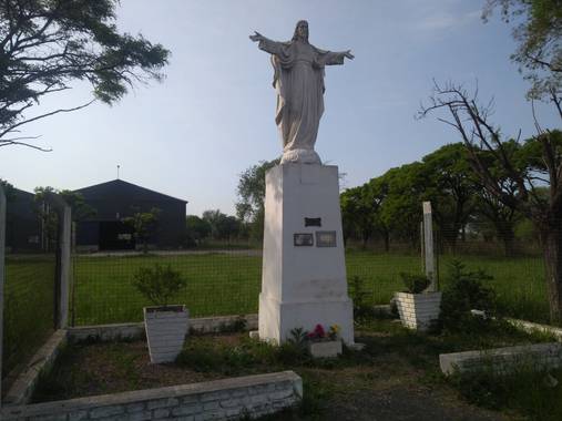 silesco1998 en Hamelin: Flora  (Bragado), Jasminez en la entrada de Bragado por Ruta Nacional N 5 Provincia de Buenos Aires. ARGENTINA