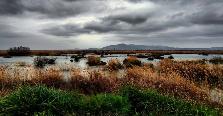 aidalzira en Hamelin: Paisaje  (Sagunto),  El marjal del moro o la marjal del moro es un espacio protegido ZEPA, un humedal situado entre los términos muni...
