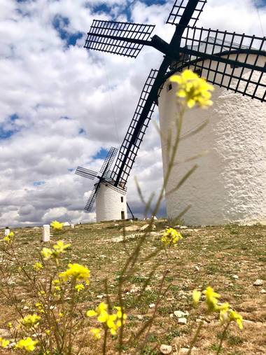 Olga.t.g76 en Hamelin: Paisaje  (Campo de Criptana), Campo de criptana