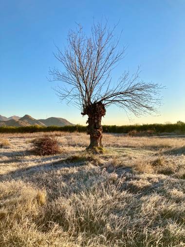Juanih.espi en Hamelin: Paisaje  (Murcia), 2 grados ❄️ #paisajesquemeenamoran 😍📸 