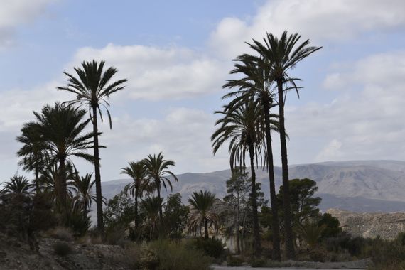 Solerantonio2 en Hamelin: Paisaje  (Pechina), Coinsidencias visuales