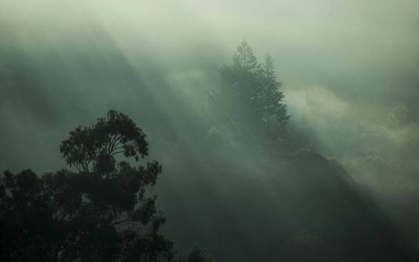 cristinaperezcasti en Hamelin: Paisaje  (Pontevedra), Despertar todos los días con este #paisaje es lo que más agradezco en la vida.