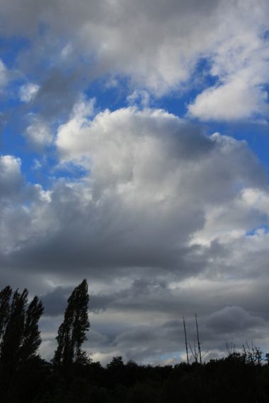 XxPrOzMeNxX en Hamelin: Paisaje, #arboles #azul #bäume #blau #blue #chile #bluesky #cielo #clouds #day #dia #fotografia #fotografie #nubes #photografy #sc...
