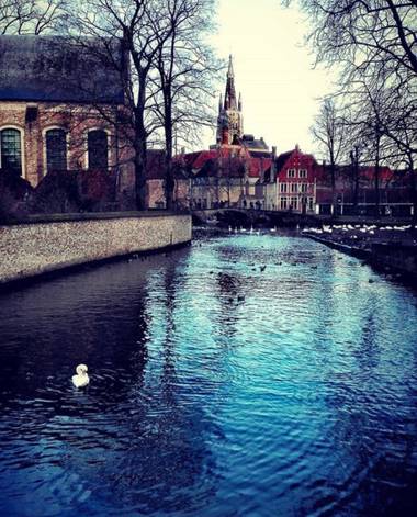 Sayurigion en Hamelin: Paisaje  (Brugge), Brujas #macrofoto20