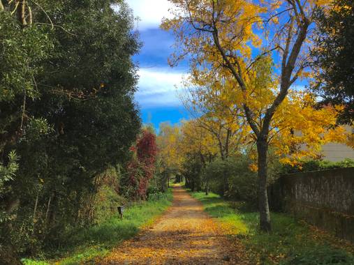 yolaidap en Hamelin: Paisaje  (Vigo), Los colores del otoño,Camino Río Lagares Vigo #hamelin2020 