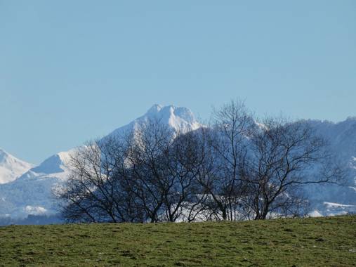 mariale en Hamelin: Paisaje  (Piloña), #Invierno20 

Ruta del jueves, 07/01/2021 
por Piloña