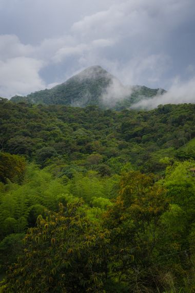 Crisitian Gallo en Hamelin: Paisaje  (San Rafael), Paisaje de la selva de San Rafael. Un municipio de Antioquia, Colombia

#nature #colombia #verde #landsc...