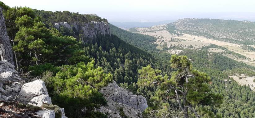 Javier Cañas Martín  en Hamelin: Paisaje, Sierra de Gúdar, Pico Olmedilla #paisajes #sierras #teruel