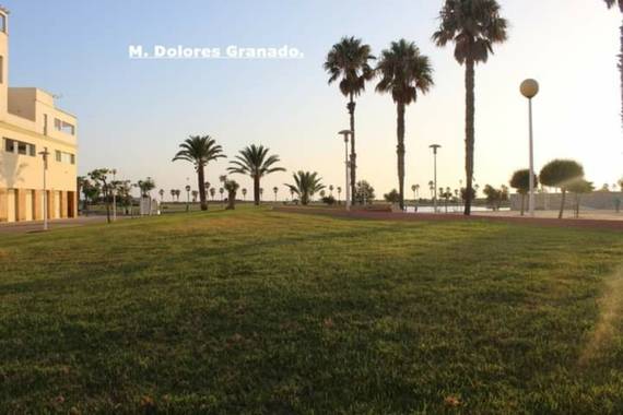 M.Dolores Granado Guerrero en Hamelin: Paisaje, #parquesypaisajes#

Echadas el jardín en la playa, ( Cádiz). 