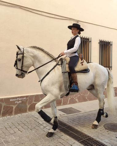 Mireia Pascual  en Hamelin: Fauna, #caballos #fauna #outdoor #photography #hamelin 
