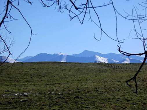 mariale en Hamelin: Paisaje  (Piloña), #Invierno20 

Ruta del jueves, 07/01/2021 
por Piloña
