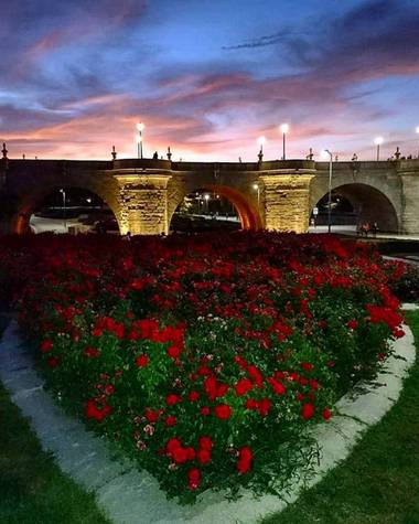 Bea San en Hamelin: Paisaje  (Madrid), Parque Madrid Rio
Puente de Toledo
#parquesyjardines #puente #madridrio #madrid #atardecer #flora
