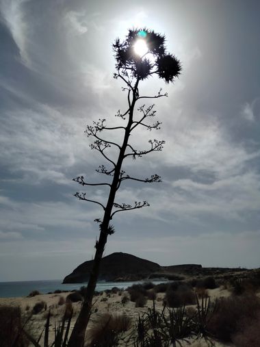 Solerantonio2 en Hamelin: Paisaje  (Níjar), Coinsidencias visuales
