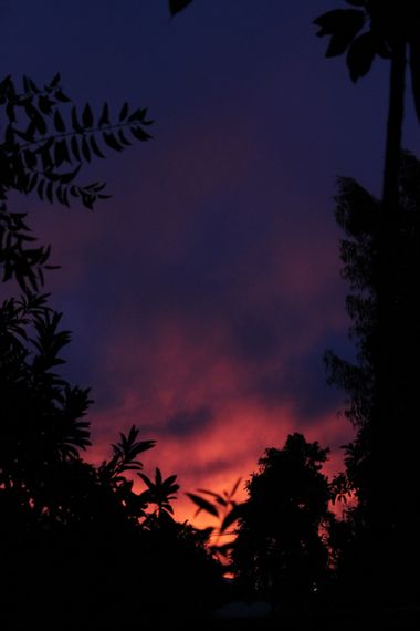 XxPrOzMeNxX en Hamelin: Paisaje, #arboles #atardecer #azul #bäume #black #blau #blue #bluesky #cielo #clouds #fotografia #fotografie #himmel #naranja #neg...
